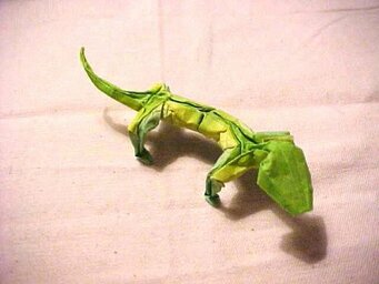 Gecko
