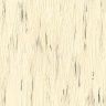 Feather.jpg