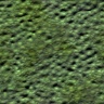 LizardSkin3.jpg