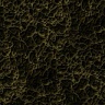 texture01.jpg