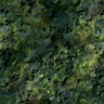 texture06.jpg