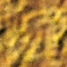 texture08.jpg