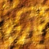 texture09.jpg