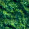 texture10.jpg