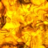 texture19.jpg