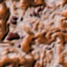 texture20.jpg