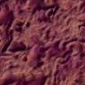 texture22.jpg