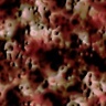texture24.jpg