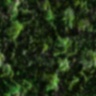 texture26.jpg