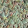 texture33.jpg
