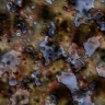 texture37.jpg