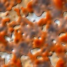 texture38.jpg