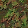texture43.jpg