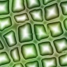 wp7.jpg